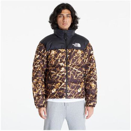 Doudounes NF0A3C8DOS31 - The North Face - Modalova