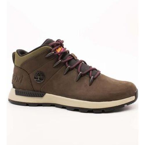 Baskets montantes Timberland - Timberland - Modalova