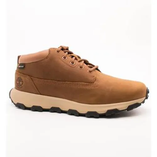 Baskets montantes Timberland - Timberland - Modalova