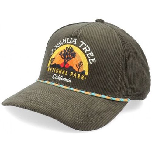 Casquette Chapeau Palmer -Joshua Tree National P Olive - American Needle - Modalova