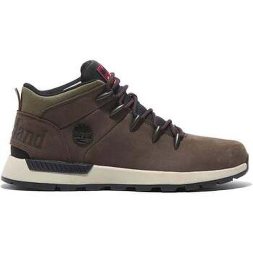 Bottes Sprint Trekker MID LACE UP SNEAKER - Timberland - Modalova