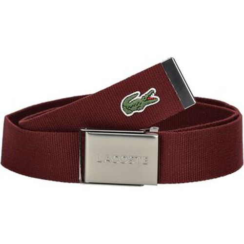 Ceinture Lacoste Ceinture - Lacoste - Modalova