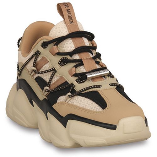 Baskets KHAKI SPECTATOR - Steve Madden - Modalova