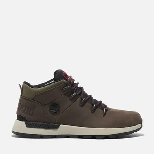 Baskets Timberland TB0A6DQDW07 - Timberland - Modalova