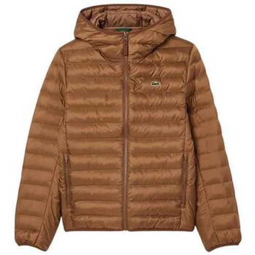 Manteau Lacoste - Lacoste - Modalova