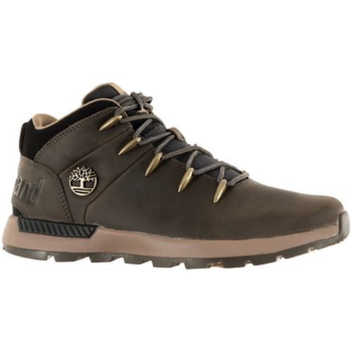 Ville basse Timberland 0a6dqd - Timberland - Modalova