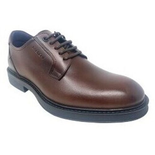 Chaussures Chaussure 1160 - Baerchi - Modalova