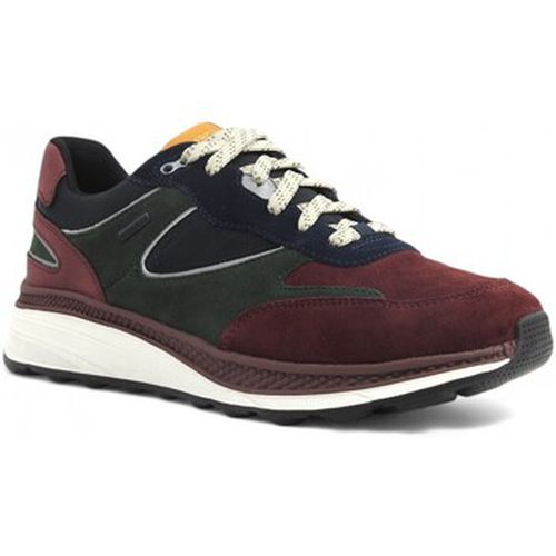 Chaussures Running Suede Spherica Sneaker Uomo Wine U46HGA00022CA73X - Geox - Modalova