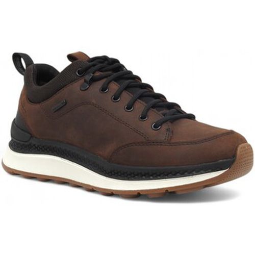 Chaussures Running Sneaker Uomo Coffee Black U46HMB0FFEKC0196 - Geox - Modalova