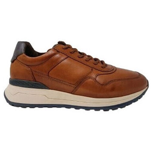 Baskets Ara CHAUSSURES 126801 - Ara - Modalova