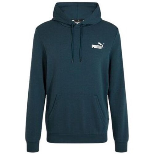 Sweat-shirt - Sweat à capuche - sapin - Puma - Modalova