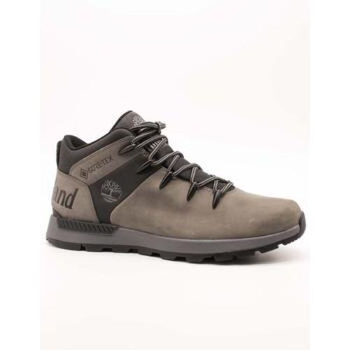 Baskets montantes Timberland - Timberland - Modalova