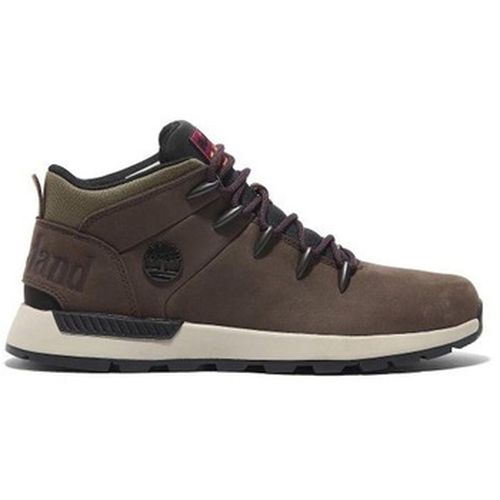 Baskets montantes Timberland - Timberland - Modalova