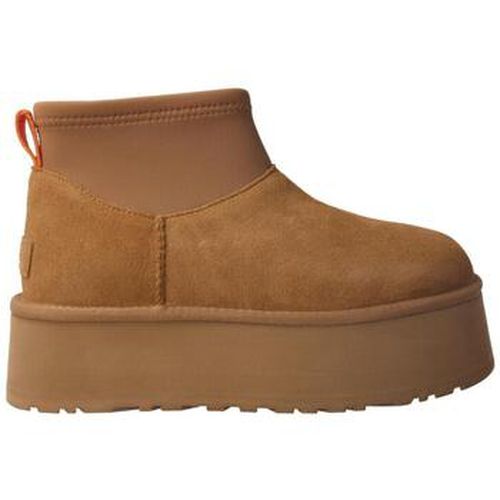 Bottines UGG - UGG - Modalova