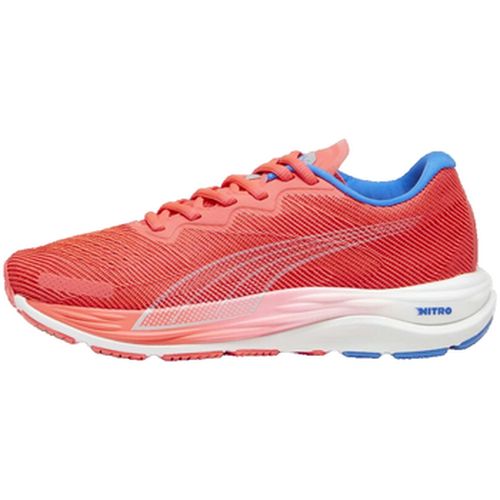 Chaussures Puma Velocity Nitro 2 - Puma - Modalova