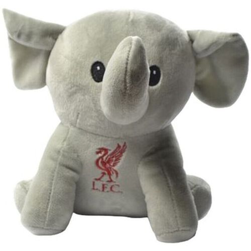 Accessoire sport BS4553 - Liverpool Fc - Modalova