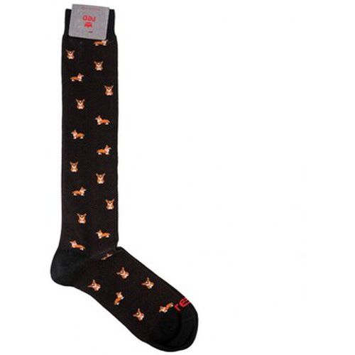 Chaussettes Chaussettes longues Corgis - Red Sox - Modalova