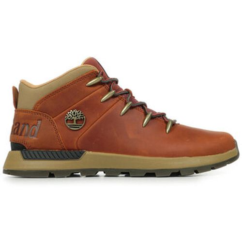 Baskets Sprint Trekker Mid Lace Sneaker - Timberland - Modalova