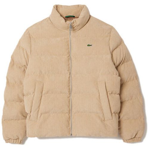 Manteau DOUDOUNE MATELASSÉE EN VELOURS - Lacoste - Modalova