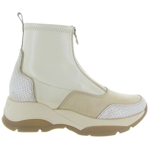 Bottines Hispanitas ANDES 2202 - Hispanitas - Modalova