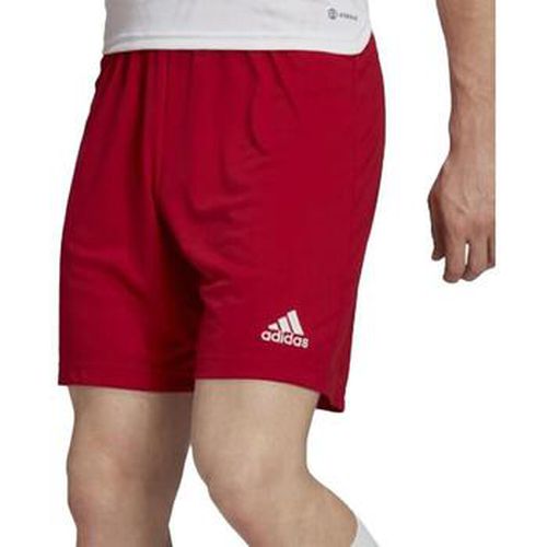 Short adidas H61735 - adidas - Modalova