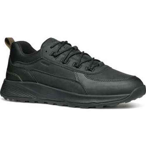 Baskets basses terrestre leisure trainers - Geox - Modalova