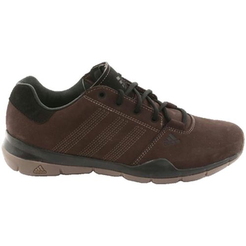 Baskets adidas Anzit Dlx - adidas - Modalova