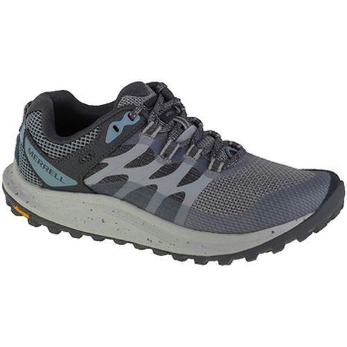 Chaussures Merrell Antora 3 - Merrell - Modalova