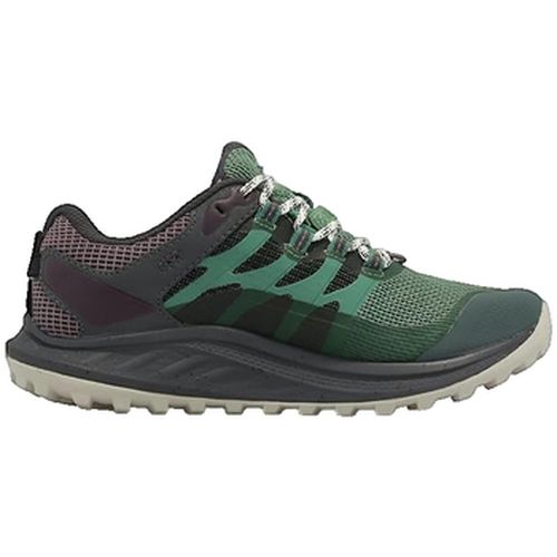 Chaussures Antora 3 Goretex - Merrell - Modalova