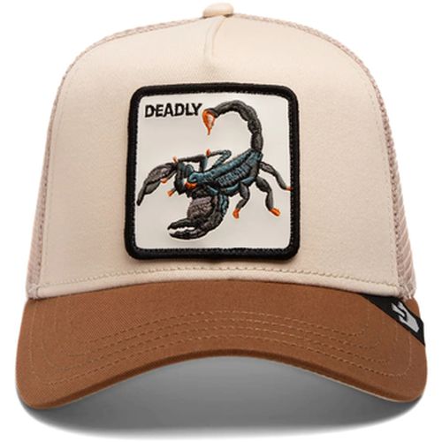 Chapeau The Deadliest Scorpion - Goorin Bros - Modalova