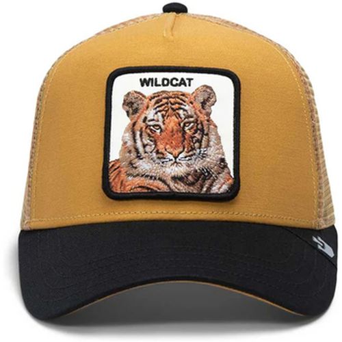 Chapeau The Wildcat Tiger - Goorin Bros - Modalova