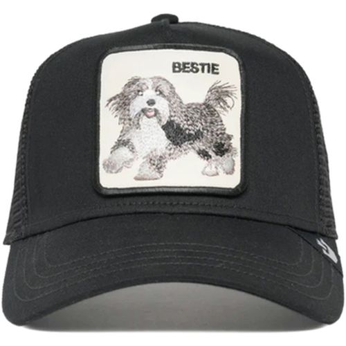 Chapeau Goorin Bros The Bestie Dog - Goorin Bros - Modalova