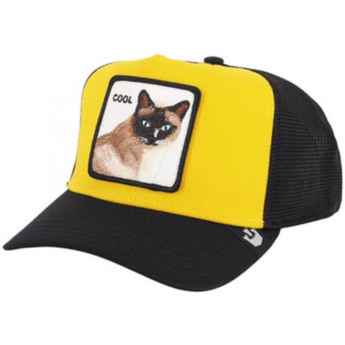 Casquette Goorin Bros Cool cat - Goorin Bros - Modalova