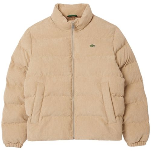 Blouson Doudoune Ref 64593 02S - Lacoste - Modalova