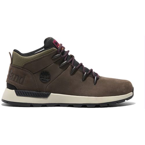 Baskets Timberland TB0A6DQDW071 - Timberland - Modalova