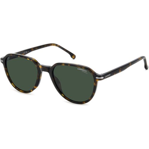 Lunettes de soleil 342/S Lunettes de soleil, Maron/Vert, 53 mm - Carrera - Modalova