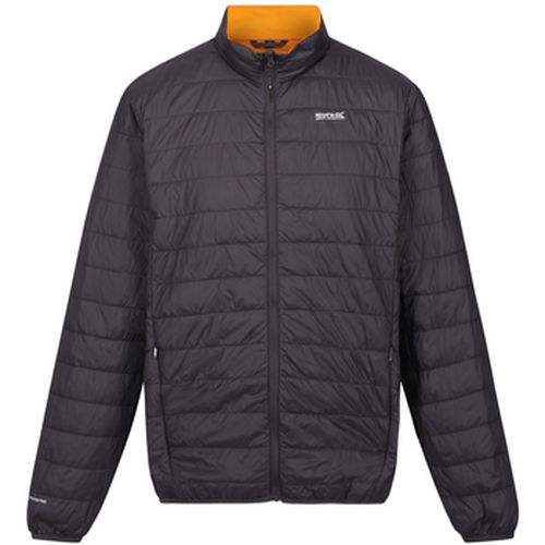 Blouson Regatta Hillpack - Regatta - Modalova