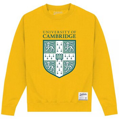 Sweat-shirt PN513 - Cambridge University - Modalova