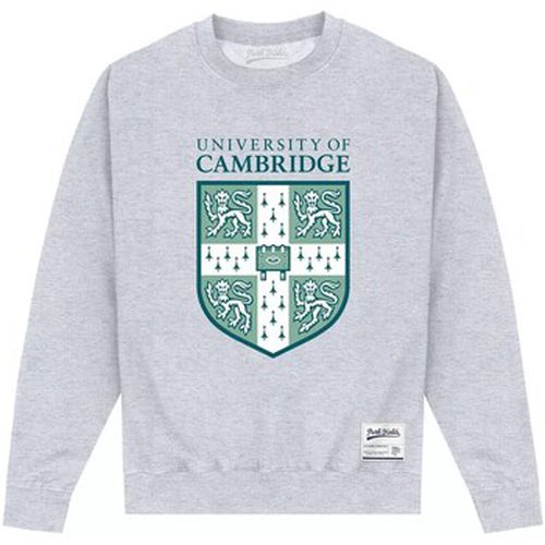 Sweat-shirt PN513 - Cambridge University - Modalova