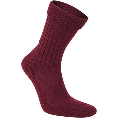 Chaussettes Craghoppers CG2150 - Craghoppers - Modalova