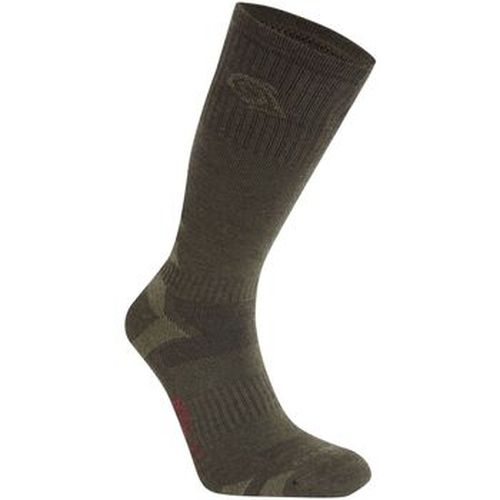 Chaussettes Craghoppers CG2151 - Craghoppers - Modalova