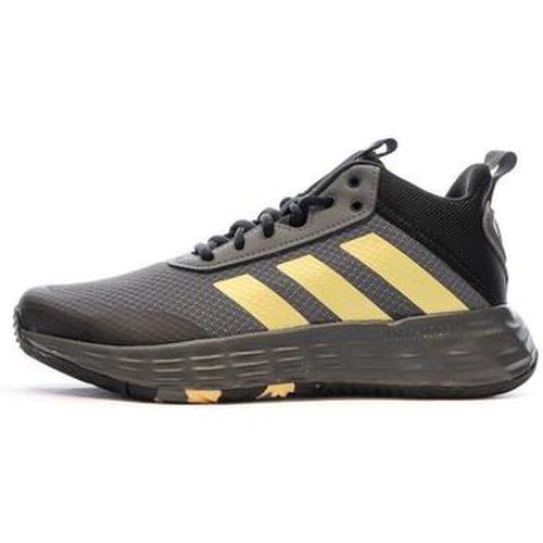 Chaussures adidas GZ3381 - adidas - Modalova