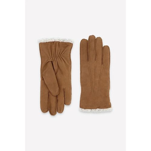 Gants Glove Story 72093BE 360/CORK - Glove Story - Modalova