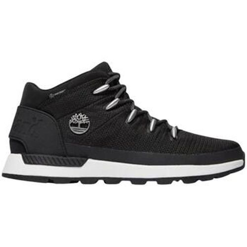 Baskets montantes Timberland - Timberland - Modalova