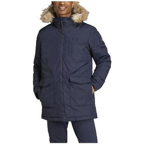 Parka adidas Parka Paveric bleu - adidas - Modalova