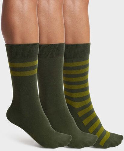 Lot de 3 paires de chaussettes à rayures Olive Coton Style - Masculin - Taille 43/46 Vert 43/46 - Dim - Modalova