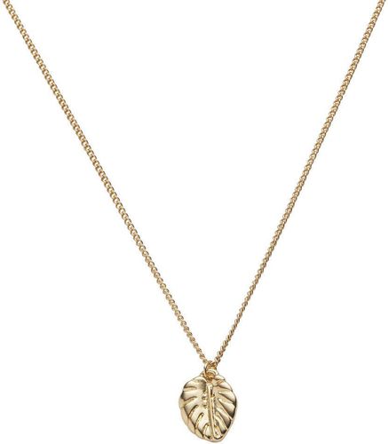 Collier Feuille tropicale Pastel Chic - Draeger - Modalova