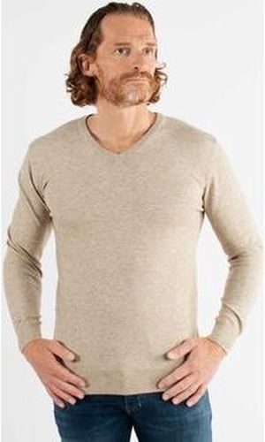 Pull Pull col V beige en touch cashemere unicolore Beige - Hollyghost - Modalova