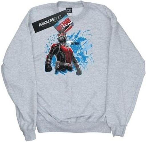 Sweat-shirt Ant-Man Standing Gris - Ant-Man - Modalova