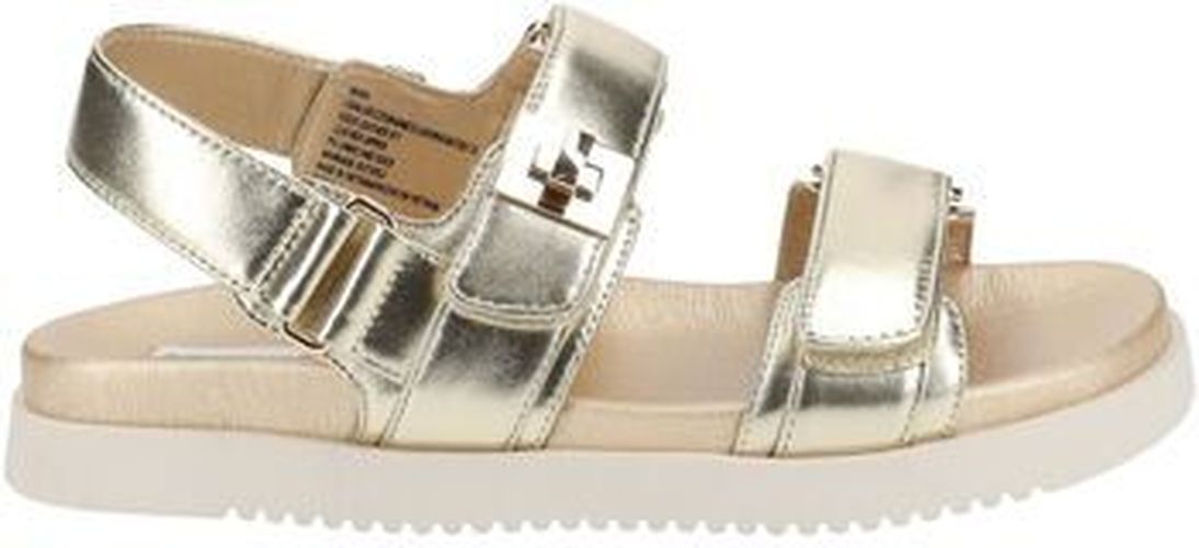 Sandales Sandales Doré - Steve madden - Modalova